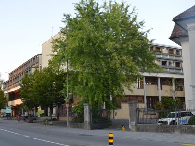 Arzethauser Partner Chappelehof Wohlen