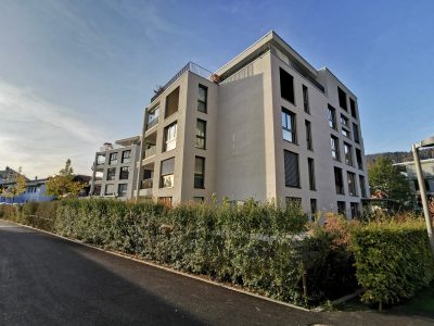 Arzethauser Partner Lido Unterägeri 2