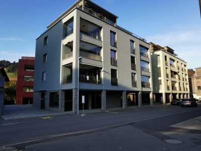 Arzethauser Partner Moos Unterägeri 3